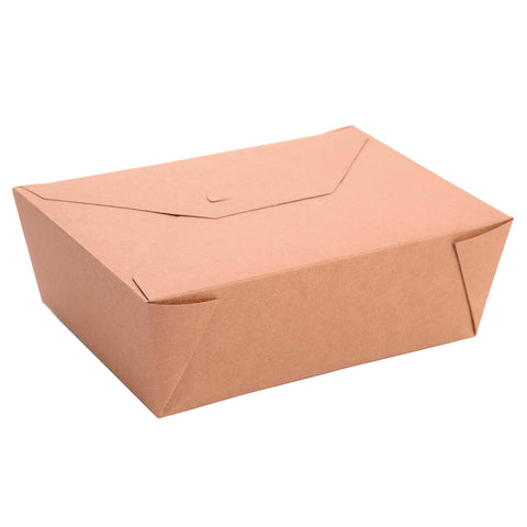 Kraft Folding Box #4
