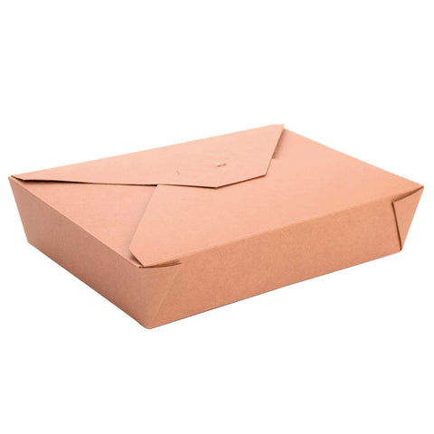 Kraft Folding Box #5