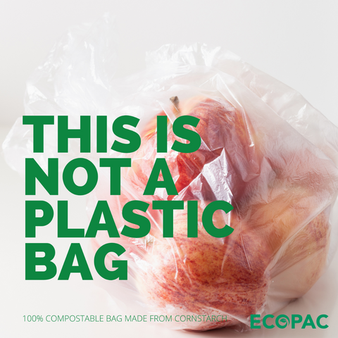 Compostable Produce Bag Large